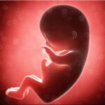 Naissance